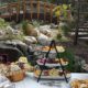Outdoor-Weddings-Lake-Arrowhead